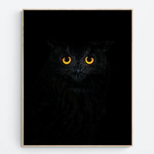 Eagle-owl eyes