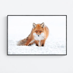 Unbroken Gaze