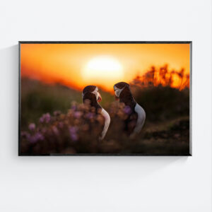 Another sunset beside you